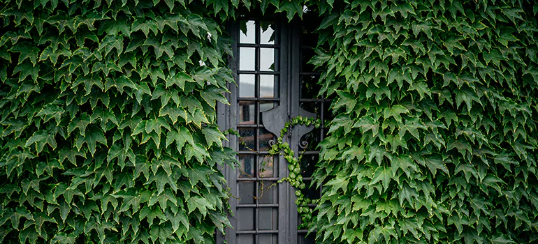 Garden Gate Repair in Gravenhurst, ON
