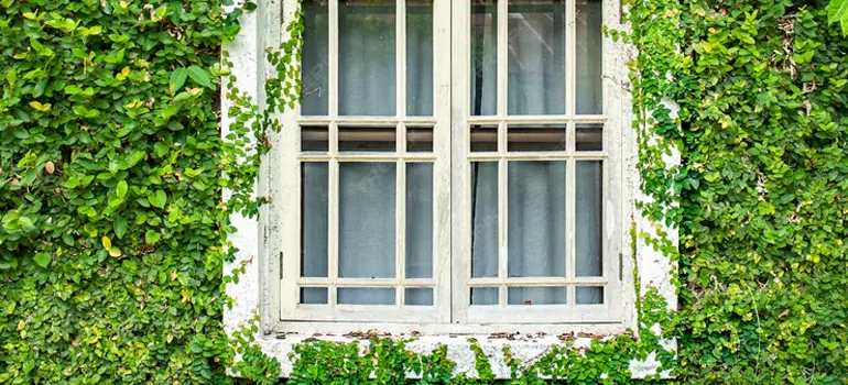 Garden Window Repair Near Me in Gravenhurst, ON