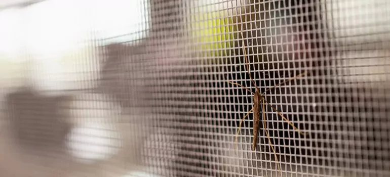 Repair Mosquito Mesh For Windows in Gravenhurst, ON
