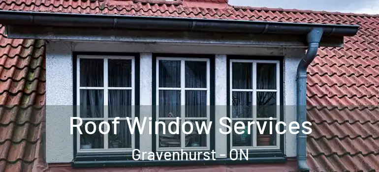 Roof Window Services Gravenhurst - ON