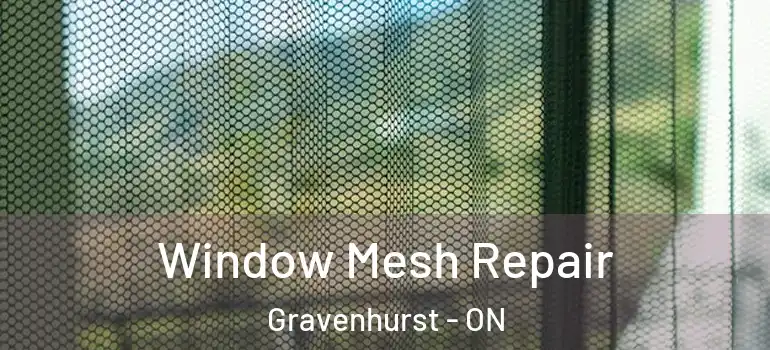  Window Mesh Repair Gravenhurst - ON