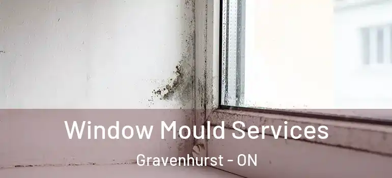  Window Mould Services Gravenhurst - ON